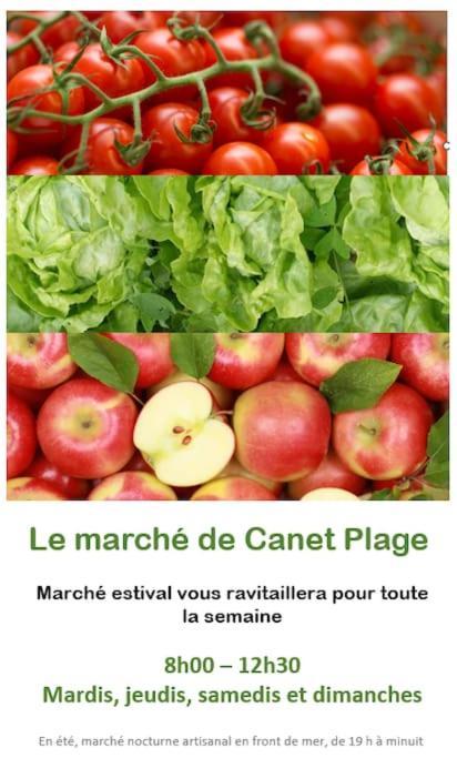 Studio Cote Plage Tout Equipe Vue Sur Le Canigou 카네트 외부 사진